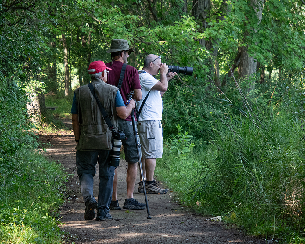 three people stand on a path with cameras